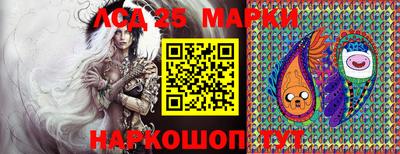 мяу мяу мука Краснознаменск