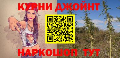 мяу мяу мука Краснознаменск