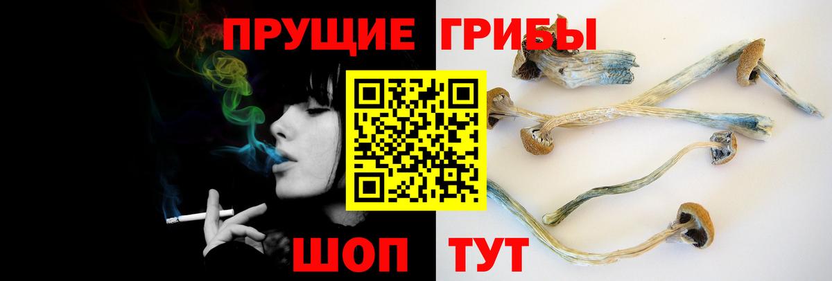 Каменка  Псилоцибиновые грибы прущие грибы  Вход с VPN 